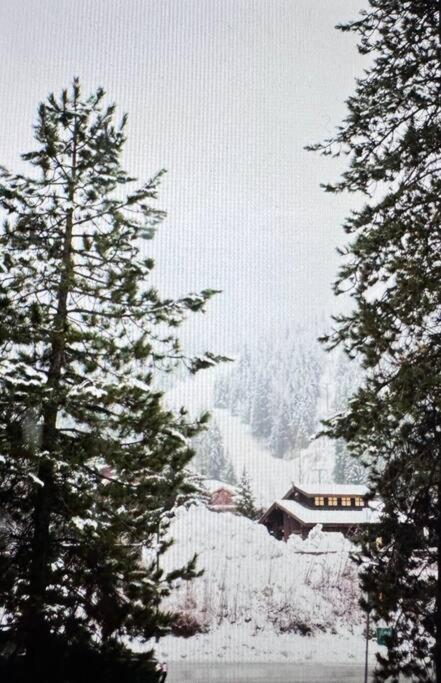 Powder & Pines Luxury Suite Уислър Екстериор снимка